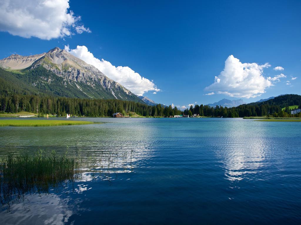 Schweizerhof Ferienwohnungen Lenzerheide 1 Экстерьер фото